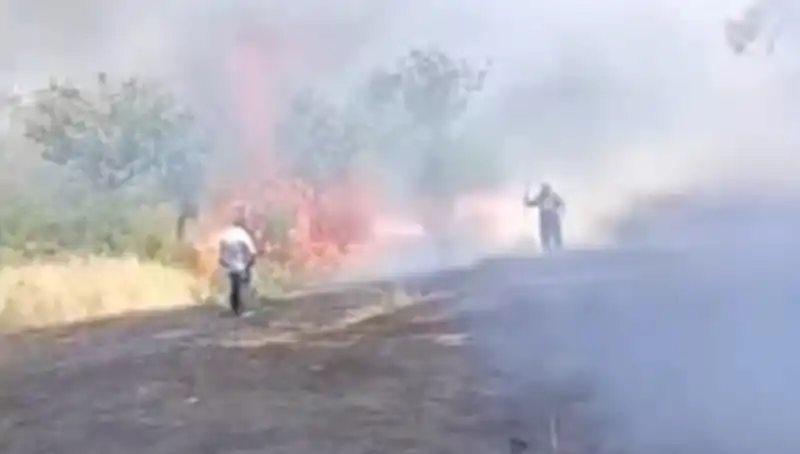 Çay İçin Yakılan Ateş Fıstık Ağaçlarına Zarar Verdi, Doğa Krizi Kapıda!