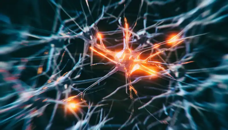Alzheimer Vakalarındaki Endişe Verici Artış: Nedenleri ve Sonuçları