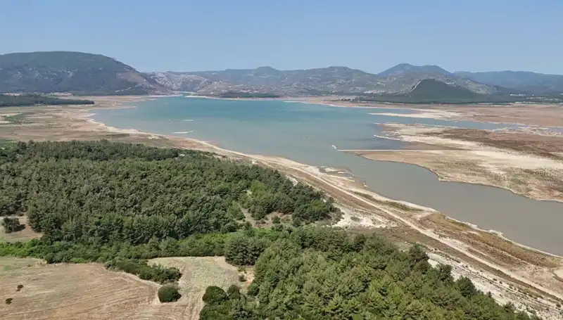İzmir'de Ekonomik Kriz: Son Yılda Yüzde 50 Düşüş Belirtileri!