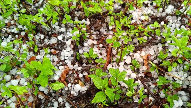 Temmuz Ayında Şok Eden Dolu! Şehirler Yaralı mı Kalacak?