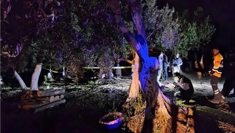 Çiftlikteki Baltalı Vahşete İlk Tutuklama! Olayın Ardındaki Gerçekler Neler?