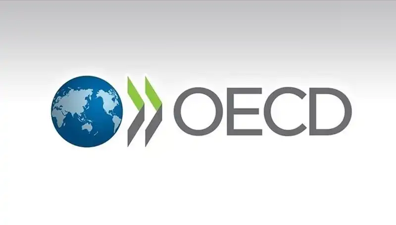 OECD, Türkiye'nin Büyüme Tahminini Revize Etti: Ekonomik Görünüm Değişti Mi?