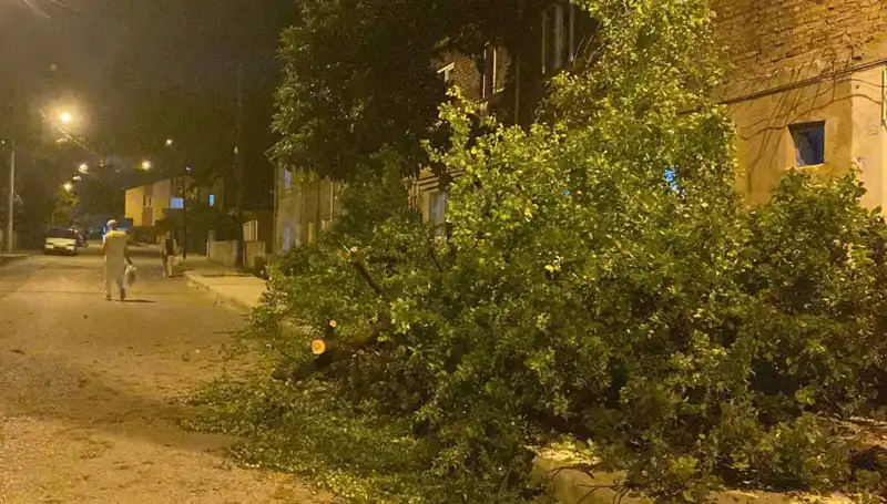 Karabük'te Fırtına Felaketine Rağmen Hayat Normalleşiyor!