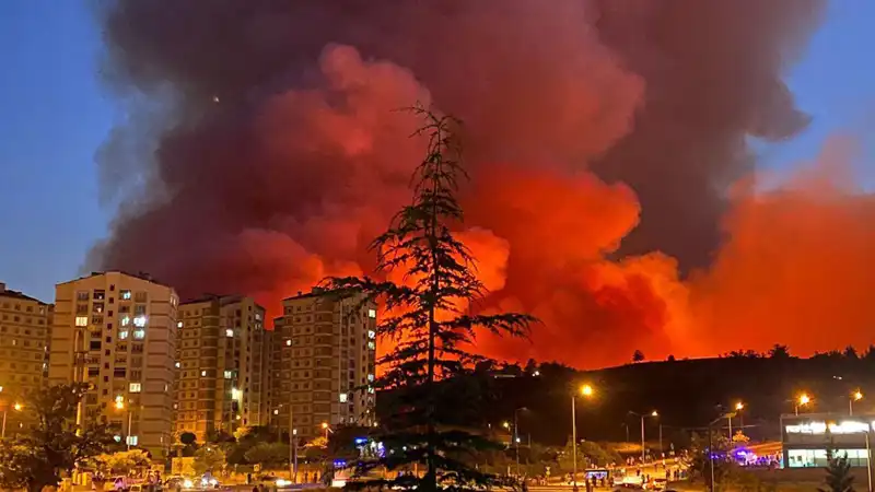 Bursa'da Yangınlar: Şehrin Karşılaştığı Zorluklar ve Mücadele