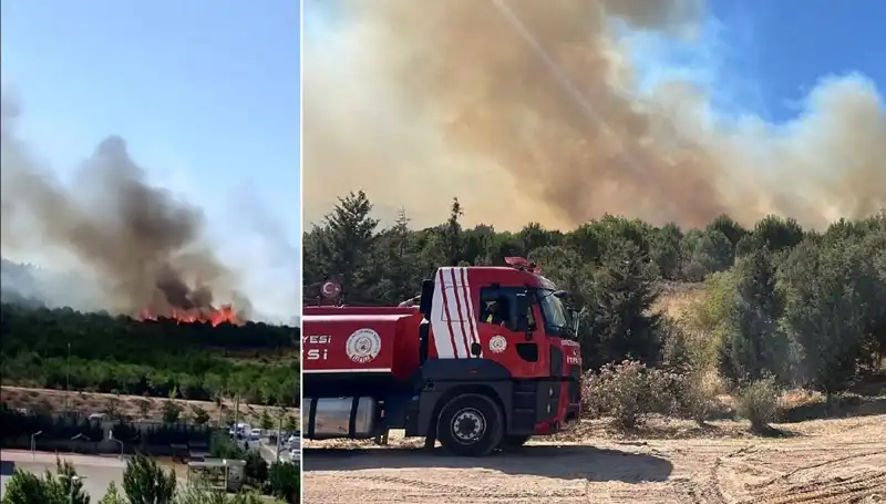 Gebze’de Korkutan Orman Yangını: Geniş Alanlar Tahrip Oldu