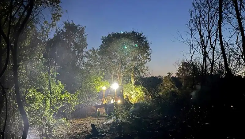 Edirne'deki Orman Yangını Kontrol Altına Alındı: Yeniden Yeşeren Doğa!