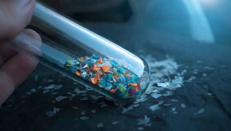 Mikroplastikler İnsan Beynine Sızıyor: Bilim Dünyası Ne Diyor?
