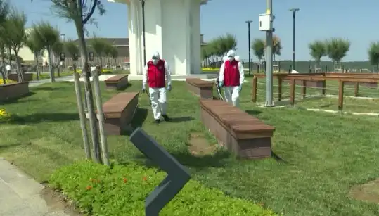 Kene Görülme Sıklığı Artıyor: Halk Sağlığı İçin İlaçlama Önlemleri