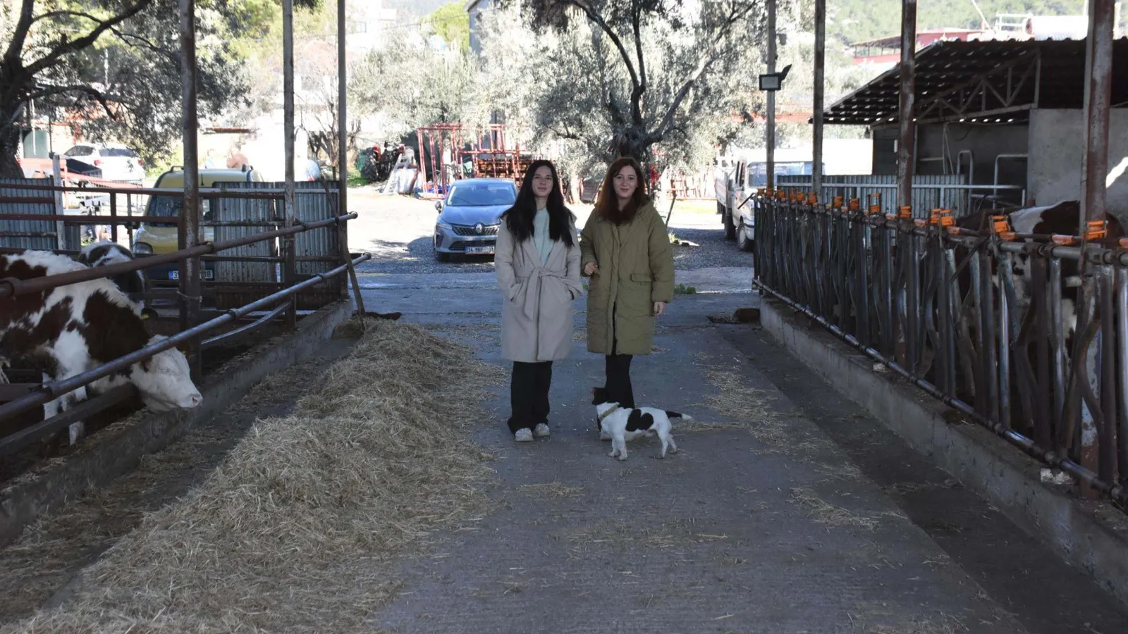 Üniversiteli Kız Kardeşler Köylerine Döndü: Hayvancılıkla Örnek Bir Başarı Hikayesi