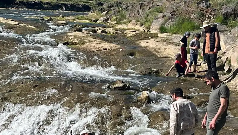 İnci Kefali Göçü: Doğanın Harikası, Turistlerin Yeni Merakı