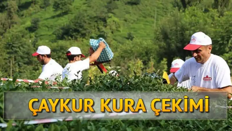 Çaykur Kura Sonuçları: Canlı Kura Sayfasında Öğrenmenin Yolu
