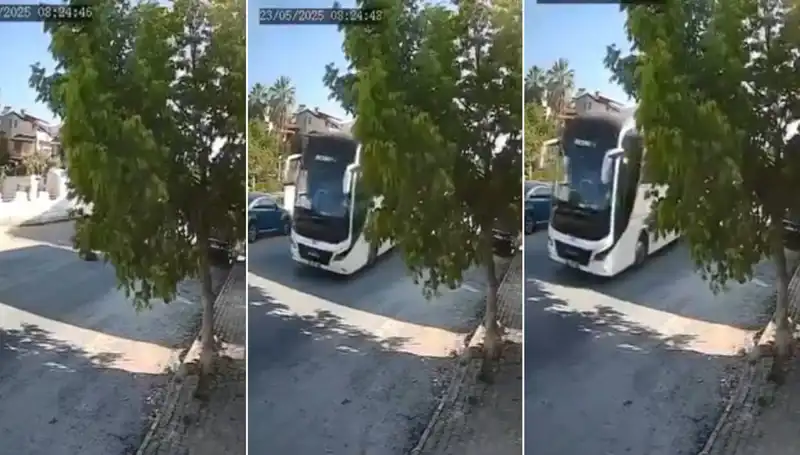 Yolda Yatan Köpeği Ezip Kaçan Şoför, Sosyal Medyada Tepki Topladı