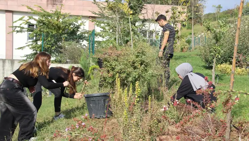 Düzce'den Dünyaya Açılan Kapı: Hayal Olan Başarı Gerçekleşti