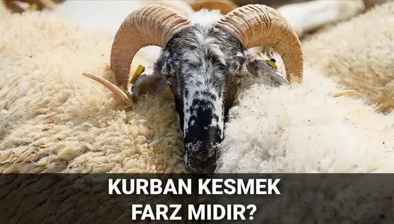 Kurban Kesimi: Farz Mıdır? Dini Şartları ve Diyanet'in Görüşü