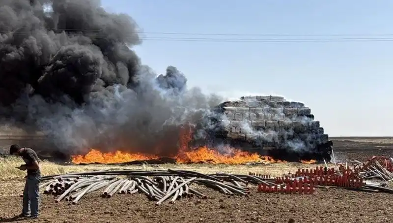 Mardin’de Anız Yangınları, Tarımsal Potansiyeli Tehdit Ediyor