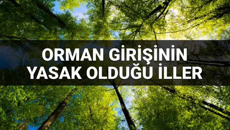 2025'te Ormana Girişin Yasaklandığı İller: Hangi Bölgeler Etkilenecek?
