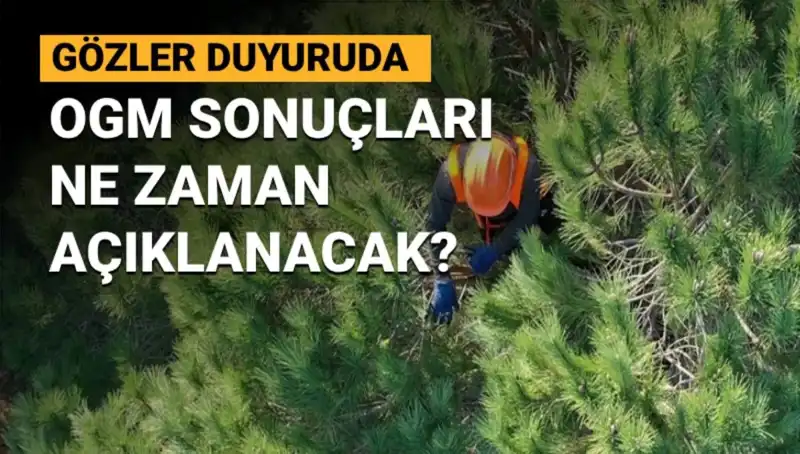 OGM Personel Alımı Duyurusu: 3 Bin 477 Sözleşmeli Pozisyona Başvuru Sonuçları Ne Zaman?